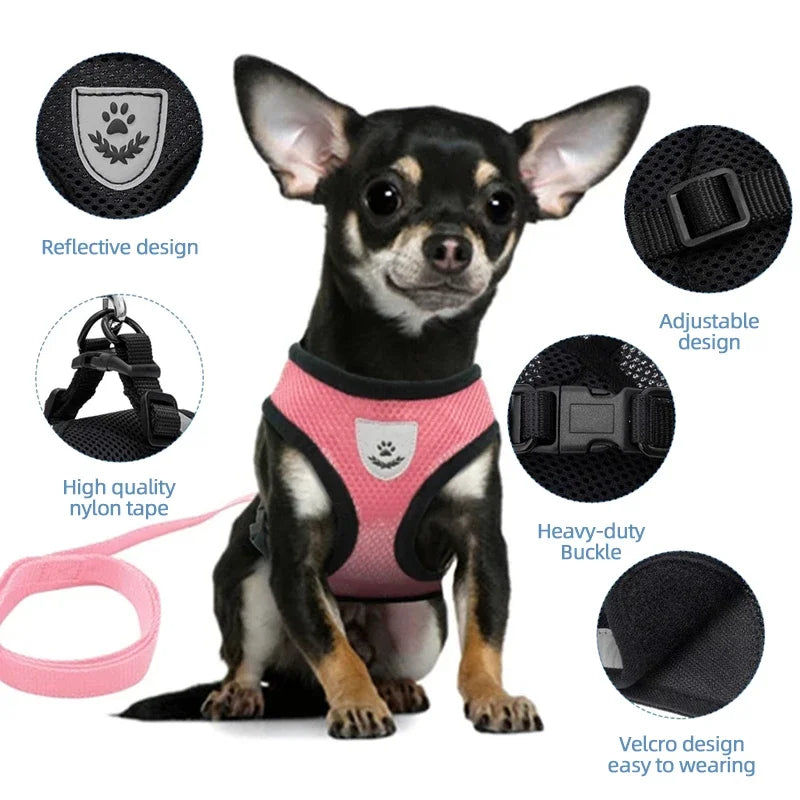 Breathable Reflective Harness Set β Adjustable Comfort for Small Dogs & Cats