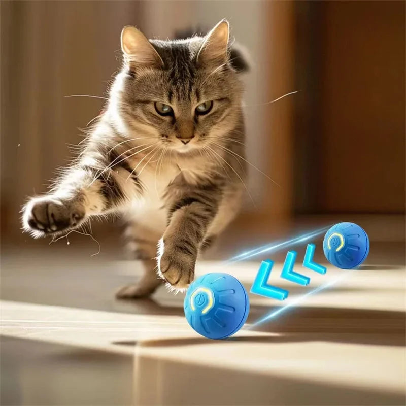 Smart Interactive USB Ball: Automatic Fun for Dogs & Cats.