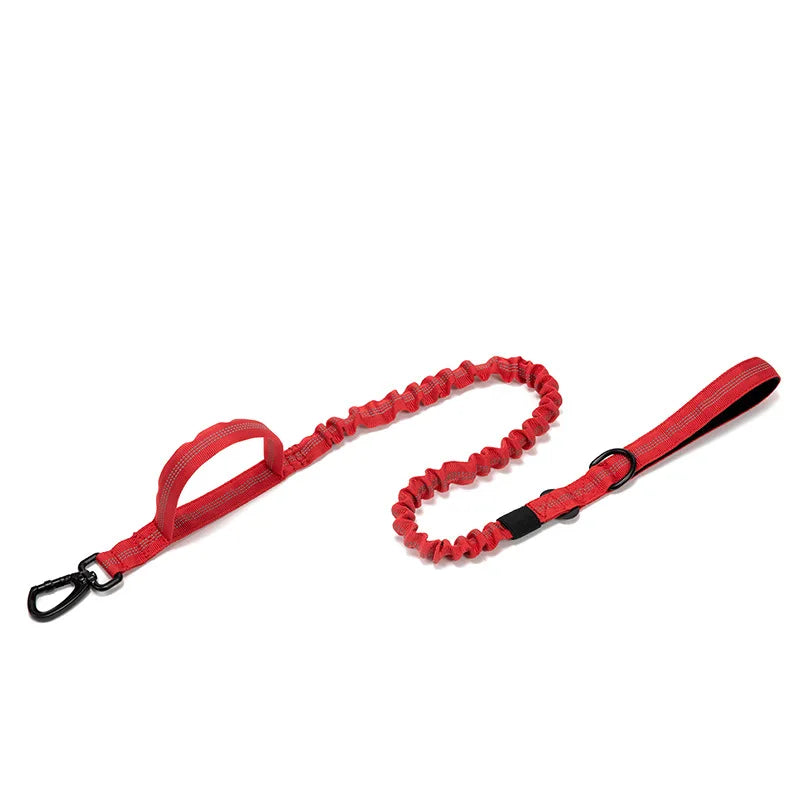 Heavy Duty Reflective Leash & Collar Set for Large Dogs