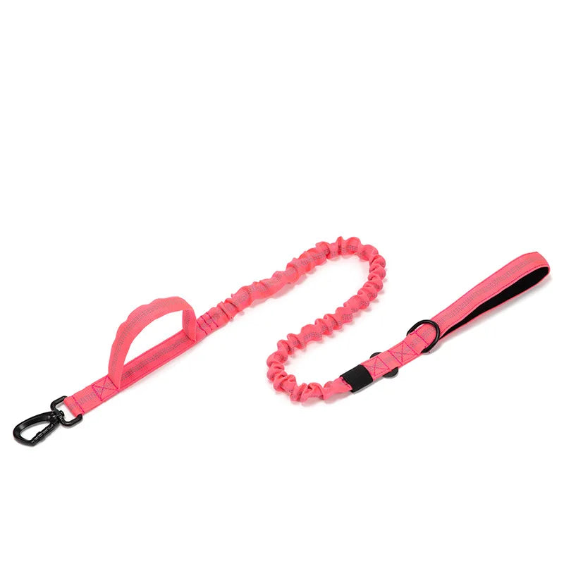 Heavy Duty Reflective Leash & Collar Set for Large Dogs