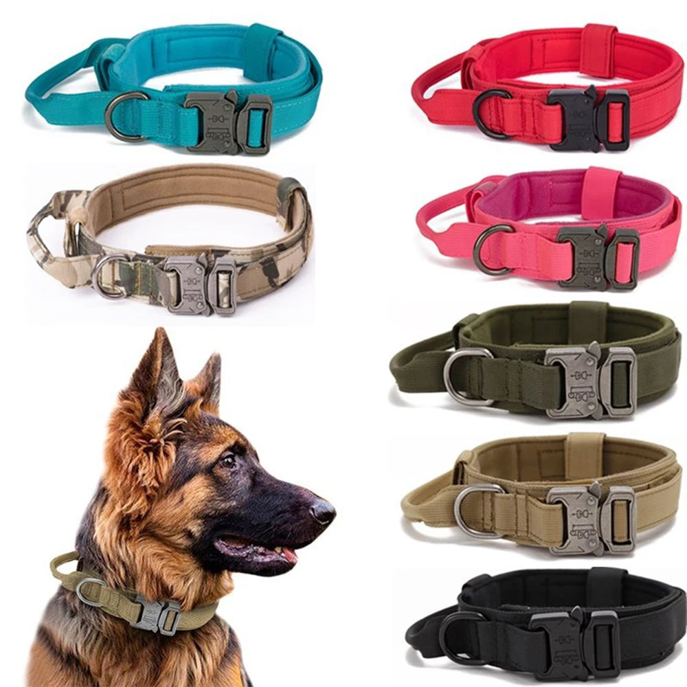 Heavy Duty Reflective Leash & Collar Set for Large Dogs