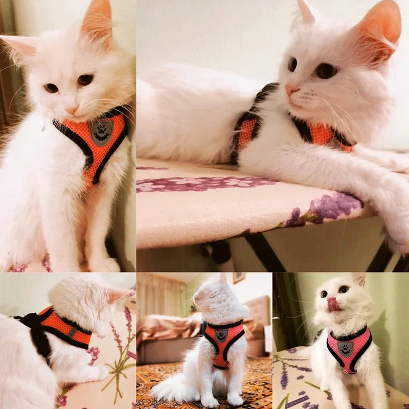 Breathable Reflective Harness Set – Adjustable Comfort for Small Dogs & Cats