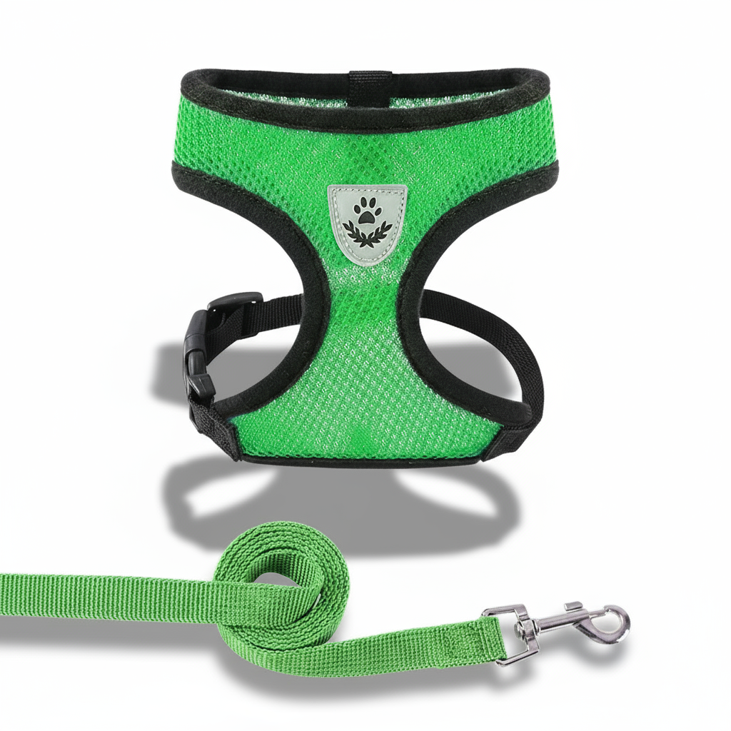 Peitoral e Guia - Sombra Intensa